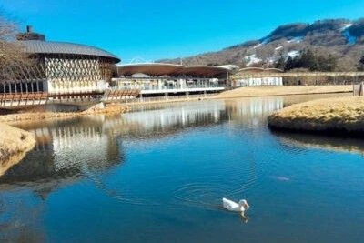 湖の上に建つおしゃれな建物と、湖を泳ぐアヒルの風景の画像。背景にはスキー場のような山並みが見え、リゾート地ならではの景色が楽しめる。リゾートバイトの休日の過ごし方を表す、風景の画像。