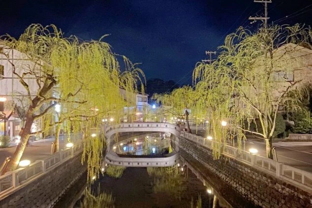 リゾートバイトの仕事終わりは、ライトアップされた城崎温泉の街並みを散策。柳並木が続く川沿いの夜景は、幻想的で美しい。