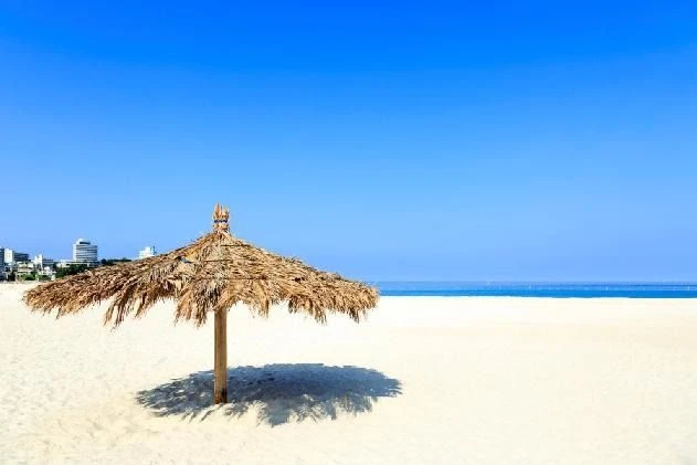 澄み渡る青空の下、白い砂浜に設置された藁ぶき屋根のパラソル。遠くに海岸沿いの街並みが見える。