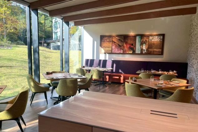 窓が大きく取られた、自然光あふれるモダンなレストランまたはカフェ。窓の外には緑の芝生と建物が見え、店内にはオリーブグリーンの椅子と、紫色の長椅子席、そして抽象画が飾られている。