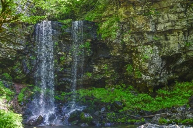 岐阜県郡上市・長良川・夫婦滝・夏・自然