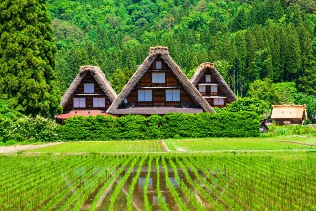 夏の岐阜県・白川郷の集落の画像。