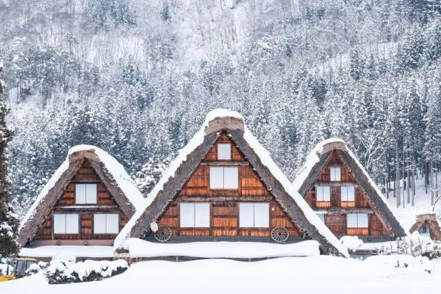 夏の岐阜県・白川郷の集落の画像。