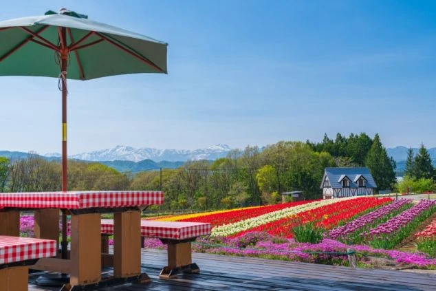 岐阜県・ひるがの高原・牧歌の里・施設画像・花畑・春・晴天