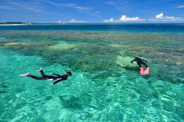 透明なターコイズブルーの海に広がるサンゴ礁の上を、2人のシュノーケリングをする人が泳いでいる様子を上から撮影した写真。水平線の先には、濃い青色の海と薄い青空が広がっています。