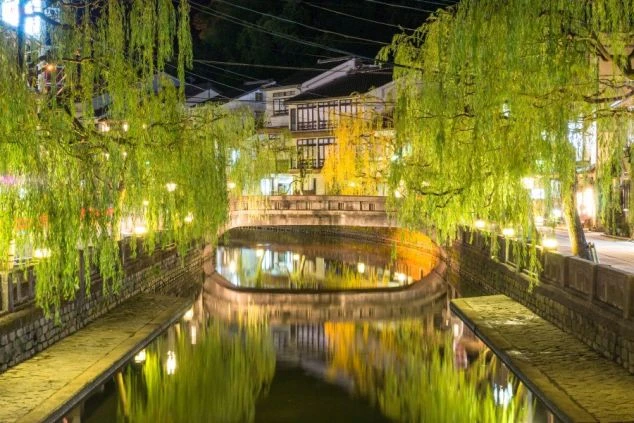 夜の城崎温泉の風情ある街並み。ライトアップされた柳並木と、大谿川（おおたにがわ）の川面に映る光が幻想的な雰囲気を醸し出している。