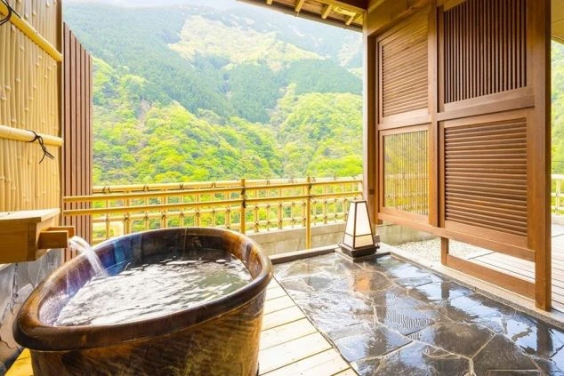 新緑の渓谷を独り占めできる、客室付きの露天風呂。プライベートな空間で、絶景を眺めながら温泉を楽しめます。