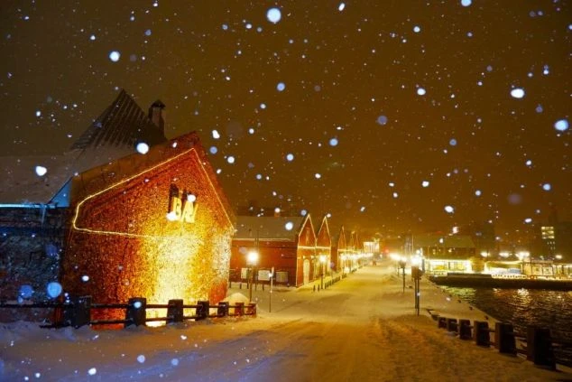 函館山からの夜景を背景に、函館山ロープウェイの乗車券を持つ2人の手元が写っている。リゾートバイトの休日に、日本三大夜景を楽しめることをアピール。