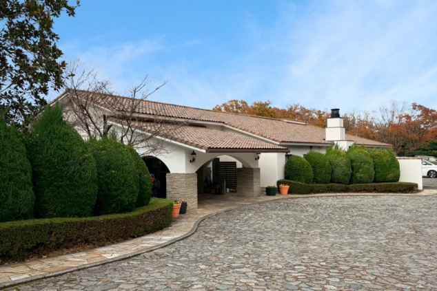 中央に立つ大きな樹木越しに、白い外壁とテラコッタ風の屋根を持つ洋館が見え、手前には彫像が置かれた小さな池が配置されています。