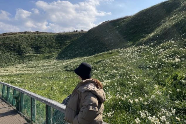 静岡県下田市の「爪木崎水仙まつり」で、一面に咲き誇る白い野水仙を眺める女性。冬から春にかけての人気観光地・下田エリアでの住み込みバイトや休日の過ごし方イメージ。