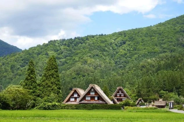 岐阜の新緑の写真。