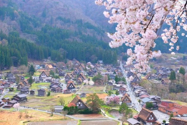 合掌造り風の屋根が特徴的な、風情ある岐阜県白川郷エリアの温泉旅館の玄関アプローチの画像。