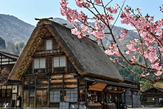 リゾートバイトの洗い場スタッフが皿を洗っている手元のクローズアップの画像。