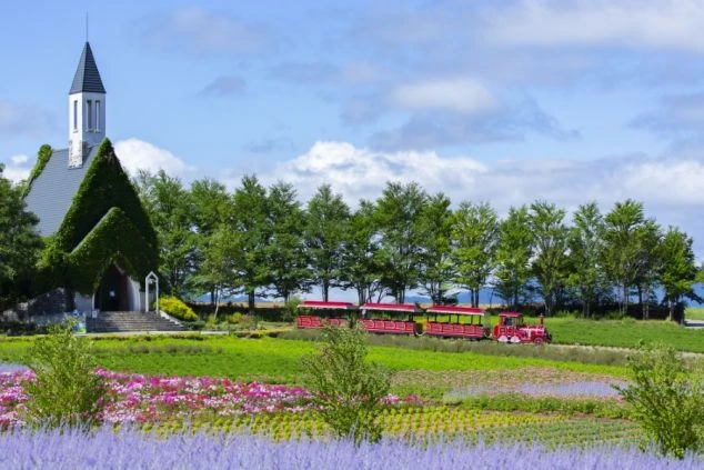 岐阜県・ひるがの高原・牧歌の里・施設画像・花畑・晴れの日・列車