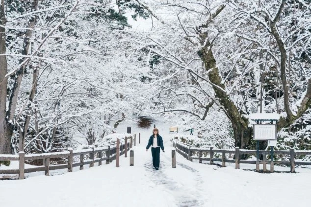 「温泉・サウナ無料」「40代以上も活躍中」と書かれた、八ヶ岳の雄大な山の風景。温泉やサウナが無料で利用できること、幅広い年代が活躍できることを伝えるワクトリオリジナル画像。