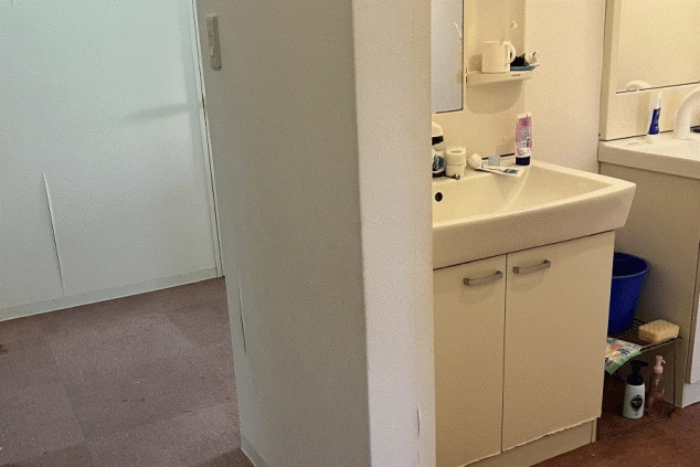 リゾートバイトの寮の共用洗面所の画像。