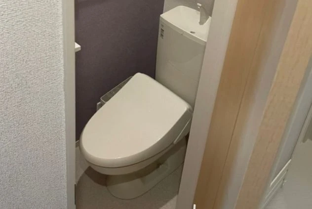 箱根でリゾートバイトするスタッフが住む寮のトイレの画像。