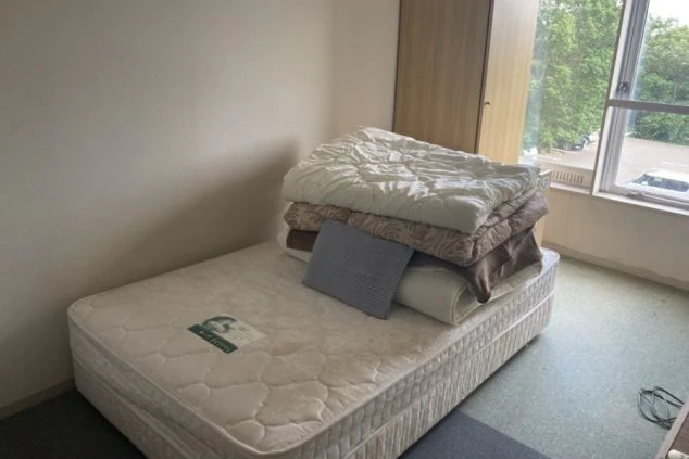 マットレスと、窓から見える屋外の景色が広がる部屋。