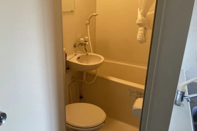 狭いバスルームにトイレと洗面台が写っている。