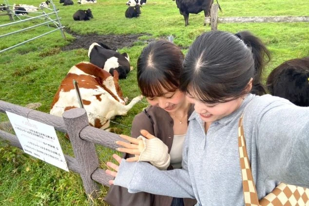 長野県・長門牧場で牛と触れ合うリゾートバイトスタッフの画像。友達同士の応募も大歓迎な、大自然に囲まれた高原エリアでの住み込みアルバイト。