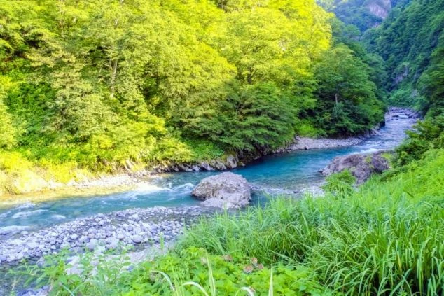 新潟県・越後湯沢の夏の自然豊かな川エリアの画像