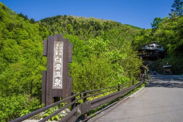 中部山岳国立公園「白骨温泉」の入り口の画像。豊かな新緑に囲まれた歴史ある温泉街で、接客や清掃の仕事を通して日本の文化に触れる体験。