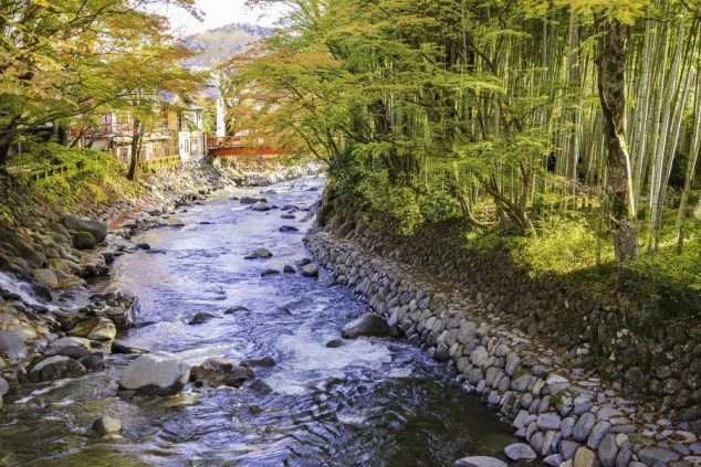 紅葉と竹林に囲まれた静岡県修善寺温泉を流れる桂川の美しい風景画像。