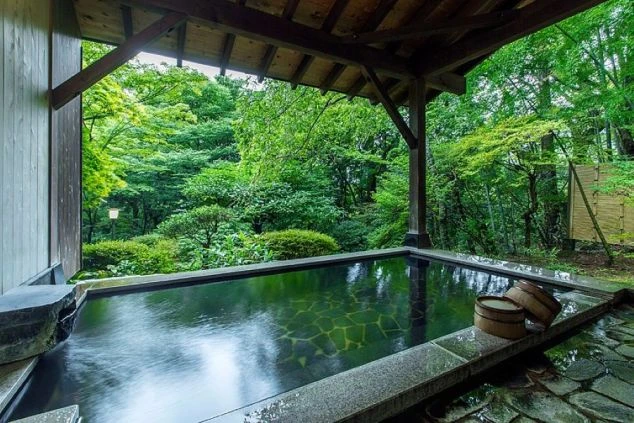 豊かな新緑の森を望む、開放感あふれる旅館の露天風呂の画像。温泉地のリゾートバイトなら、休日はもちろん仕事終わりにも温泉を満喫出来る。