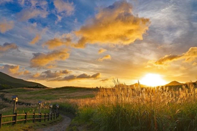 夕日に照らされたススキの草原。リゾートバイトは、自然の中でリフレッシュしながら働けるチャンスです。
