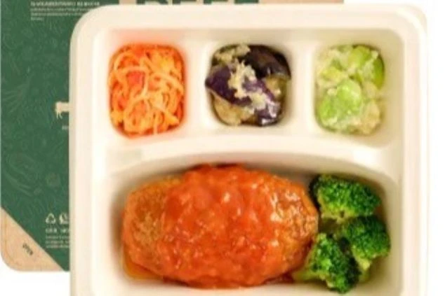 主菜はソースのかかったハンバーグで、副菜はきんぴらごぼう、ナスの煮物、ブロッコリーなど。