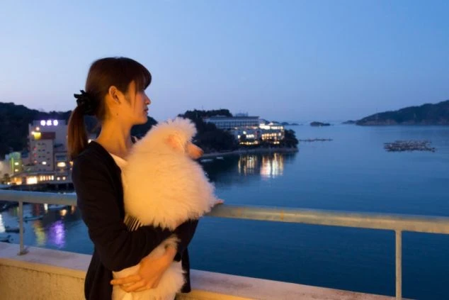 女性が犬を抱いて夜景を眺める画像。鳥羽の湾に面したバルコニーから、ライトアップされた建物や海が見える。リゾートバイトでペット同伴可能な場所での癒しの時間。