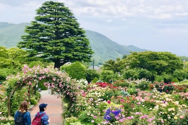 色とりどりのバラが咲き誇る美しい庭園。バラのアーチの下を歩く人々が映るイメージ画像。リゾートバイトの休日を満喫。