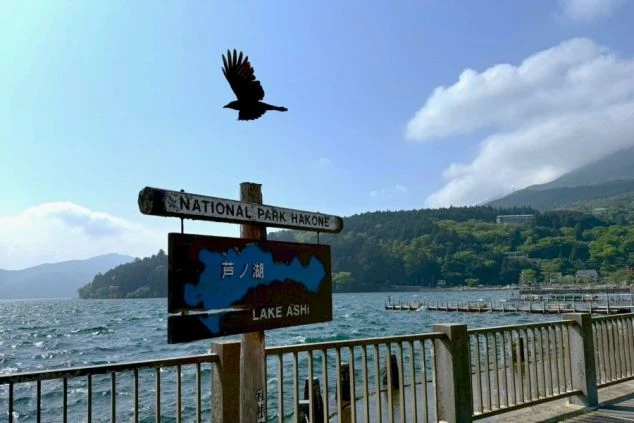 青い湖と緑の山々、そして「芦ノ湖 LAKE ASHI」の看板が写っている風景の画像。カラスが飛んでおり、箱根などの観光地でのリゾートバイトの休日のイメージを伝える。