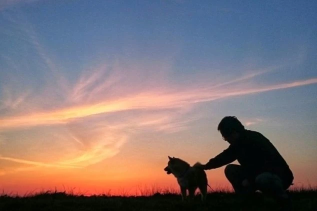 夕焼け空を背景に、男性が犬を撫でているシルエットの画像です。空のグラデーションが美しく、穏やかな時間が流れている様子が伝わります。仕事の中で犬との触れ合いを楽しむイメージ