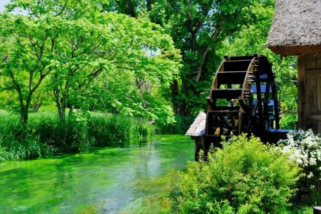 豊かな緑と清流に立つ水車小屋の画像