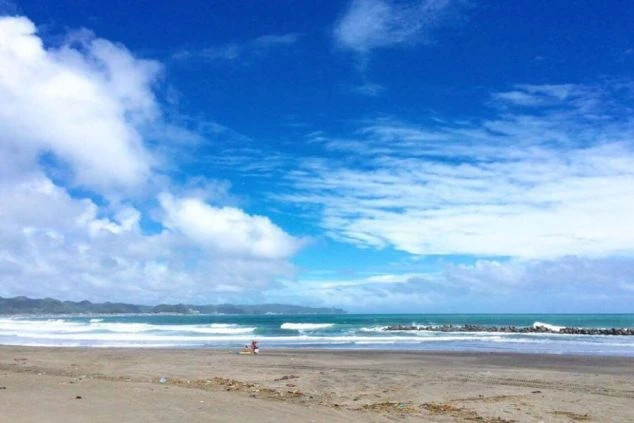 南房総の海岸の画像。青い空と白い雲が広がり、波打ち際には砂浜が続く。リゾートバイトの休日に海辺でリラックスできる、開放的な自然風景。