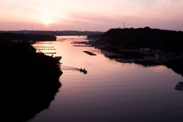 夕焼け（または朝焼け）に染まる水面を、小さなボートが航行している様子。水面には養殖場と思われるいかだや施設が見え、両岸の山や森はシルエットになっている。