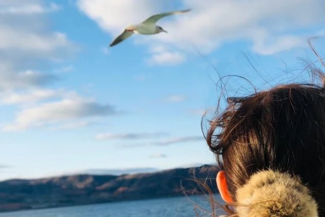 北海道・洞爺湖を見つめる人物と飛ぶカモメ。自然と観光、リゾートバイトの思い出が伝わるイメージ画像。