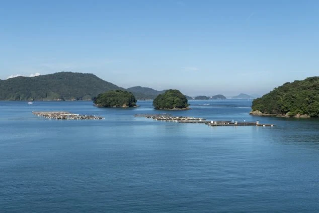 穏やかな青い海に養殖筏（いかだ）が浮かぶ三重県・鳥羽の美しいリアス式海岸の画像。