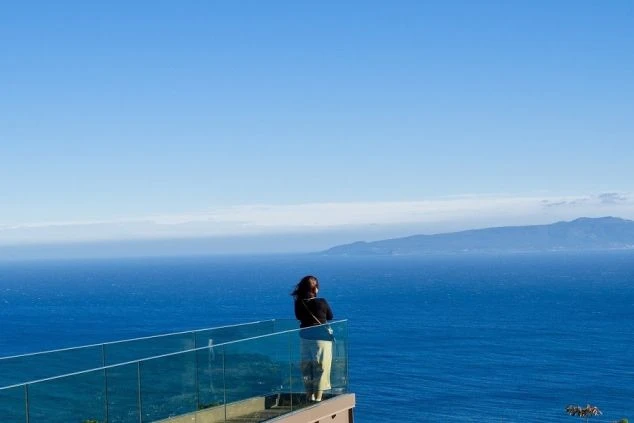 静岡県の海を眺める女性の後ろ姿の画像。