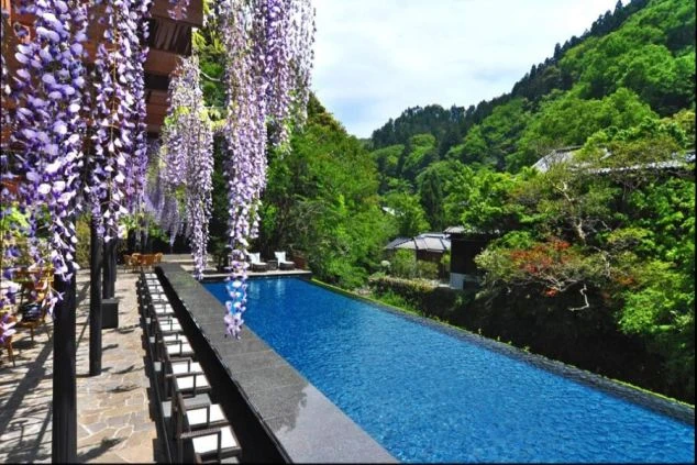 静岡県の宿泊施設の藤と足湯カフェの画像。