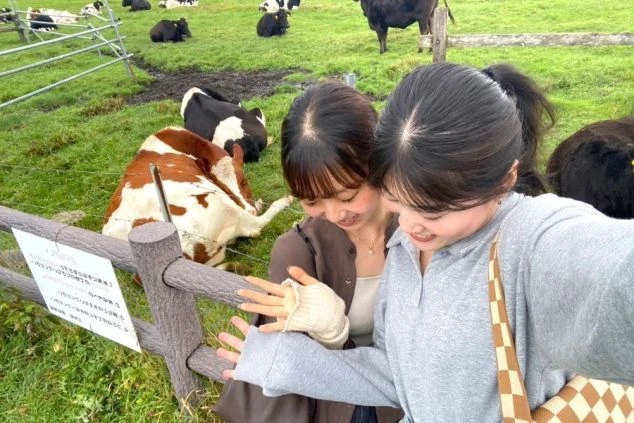 牧草地で牛たちと触れ合う2人の若い女性ワクトリスタッフ。リゾートバイトに友人と一緒に行きたい方に魅力的な画像。