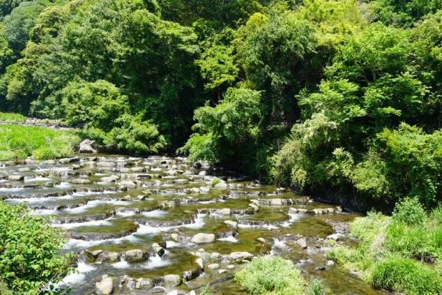 勤務地周辺を流れる清流と青々とした木々。リゾートバイトの休日に散策してリフレッシュできる、自然豊かな周辺環境の画像。