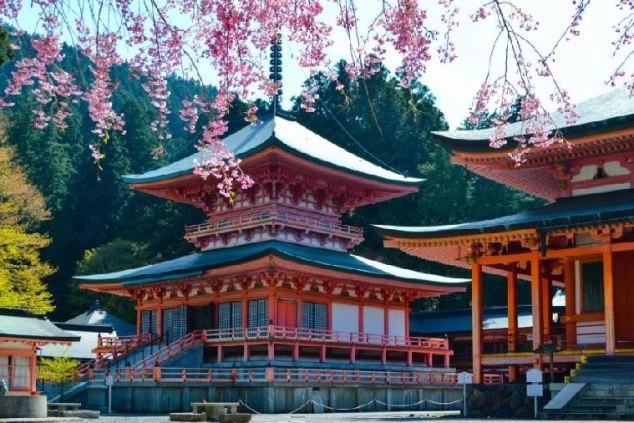 琵琶湖グランドホテルの正面外観。低層のロビー棟と、段々になったバルコニーが特徴的な高層棟。手前はアスファルトの駐車場で、奥には琵琶湖が見える。