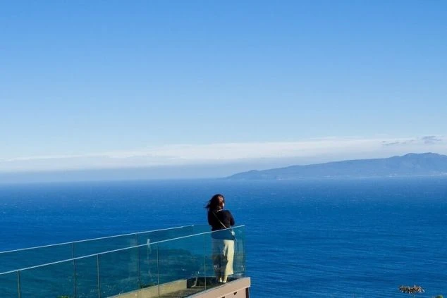 太平洋と伊豆大島を望む絶景。女性が手すりにもたれかかり、青い海を眺めている画像。