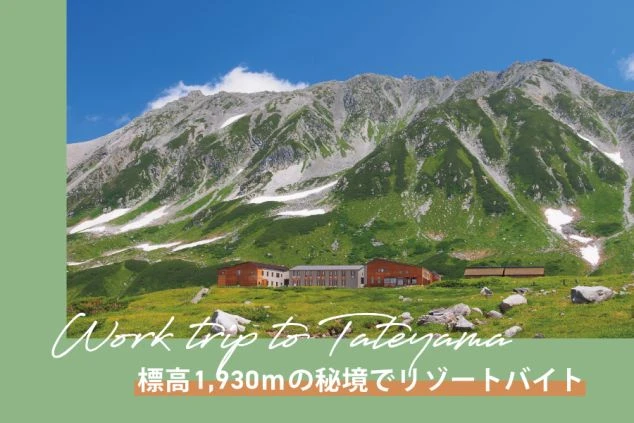 彩り豊かな美しい会席料理