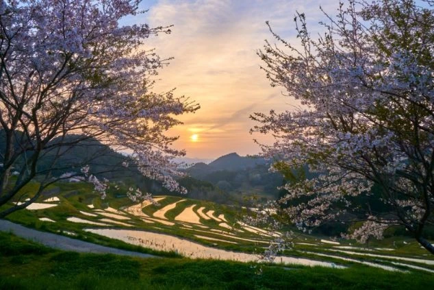  水しぶきを上げながら豪快に飛び跳ねるシャチ。リゾートバイトの休日に、忘れられない思い出を作れる鴨川シーワールド。
