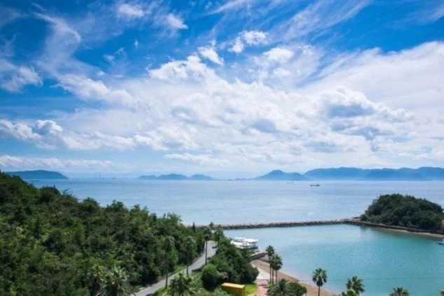 瀬戸内海の青い海と空、豊かな緑に囲まれた直島の風景。