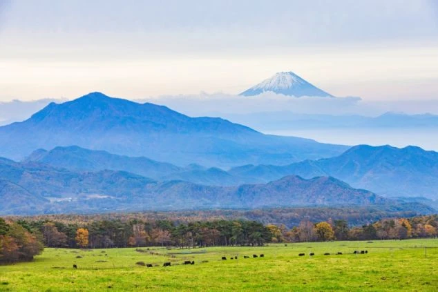 富士山を望む清里高原まきば公園の広大な牧草地。リゾートバイトの休日の過ごし方の例。