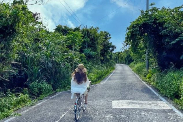 沖縄県石垣島の緑豊かな道を、麦わら帽子をかぶった人物が自転車で走っている後ろ姿の画像。青空と南国らしい植物に囲まれた風景は、リゾートバイトの休日に楽しめる開放的なサイクリングを示唆している。